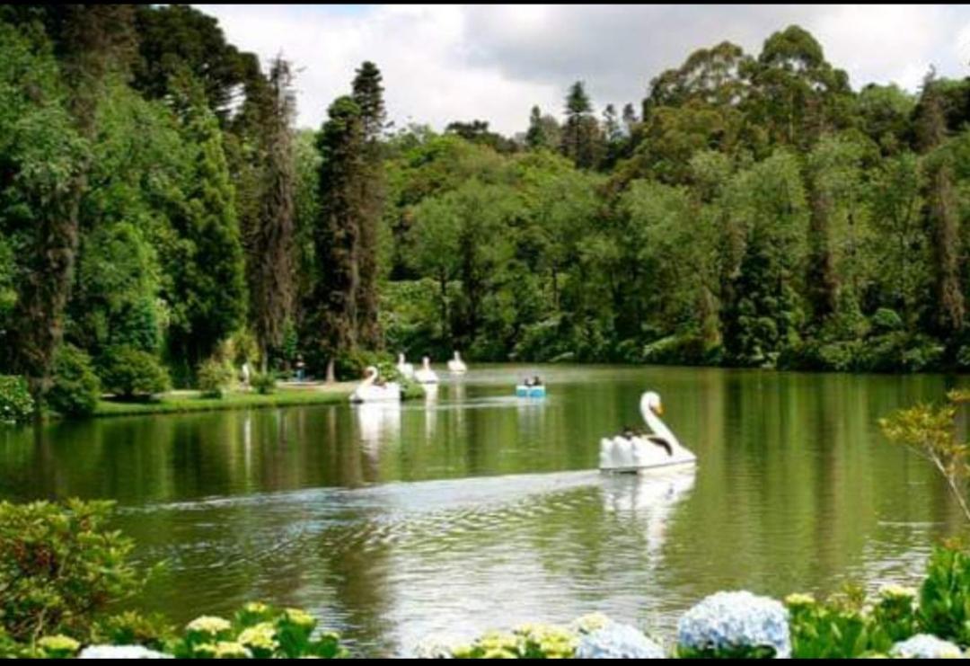 Casa Nobre Gramado Villa Ngoại thất bức ảnh